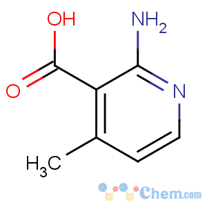 CAS No:38076-82-3 2-amino-4-methylpyridine-3-carboxylic acid