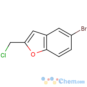 CAS No:38220-78-9 5-bromo-2-(chloromethyl)-1-benzofuran