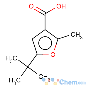 CAS No:38422-62-7 5-tert-Butyl-2-methyl-3-furoic acid