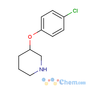 CAS No:384346-27-4 3-(4-chlorophenoxy)piperidine