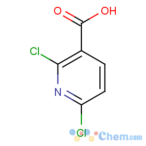 CAS No:38496-18-3 2,6-dichloropyridine-3-carboxylic acid