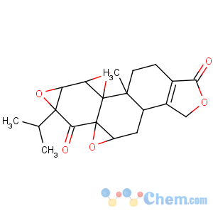 CAS No:38647-11-9 Triptonide