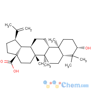 CAS No:38736-77-5 Epibetulinic acid