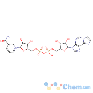 CAS No:38806-38-1 Pyridinium,3-(aminocarbonyl)-1-[5-O-[hydroxy(phosphonooxy)phosphinyl]-b-D-ribofuranosyl]-, inner salt,P'®