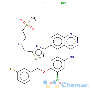 CAS No:388082-81-3 N-[3-Chloro-4-[(3-fluorophenyl)methoxy]phenyl]-6-[2-[[[2-(methylsulfonyl)ethyl]amino]methyl]-4-thiazolyl]-4-quinazolinamine dihydrochloride