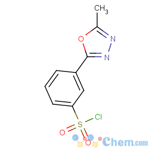 CAS No:388088-81-1 3-(5-methyl-1,3,4-oxadiazol-2-yl)benzenesulfonyl chloride