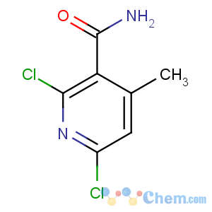 CAS No:38841-54-2 2,6-dichloro-4-methylpyridine-3-carboxamide