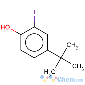CAS No:38941-98-9 Phenol,4-(1,1-dimethylethyl)-2-iodo-