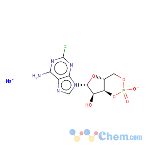 CAS No:39023-65-9 2-chloroadenosine-3',5'-cyclic monophosphate sodium salt
