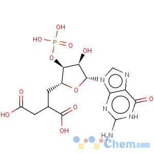 CAS No:39118-26-8 2'-O-Monosuccinylguanosine-3'5'-cyclic monophosphate