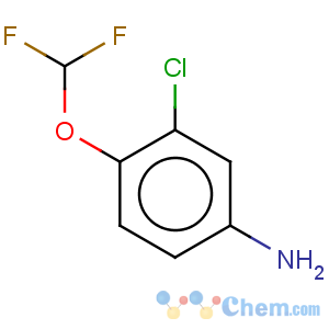 CAS No:39211-55-7 Benzenamine,3-chloro-4-(difluoromethoxy)-