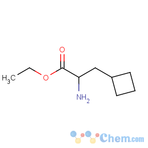 CAS No:394735-17-2 ethyl 2-amino-3-cyclobutylpropanoate