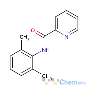 CAS No:39627-98-0 N-(2,6-dimethylphenyl)pyridine-2-carboxamide