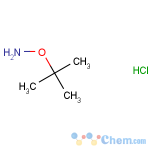 CAS No:39684-28-1 O-tert-butylhydroxylamine