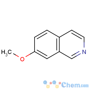 CAS No:39989-39-4 7-methoxyisoquinoline