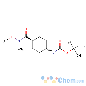 CAS No:400898-92-2 tert-butyl trans-4-(n-methoxy-n-methylcarbamoyl)cyclohexylcarbamate