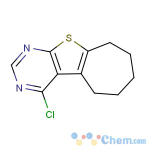 CAS No:40106-58-9 4-chloro-6,7,8,9-tetrahydro-5H-cyclohepta[2,3]thieno[2,4-d]pyrimidine