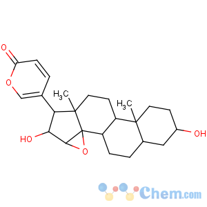 CAS No:4026-95-3 Desacetylcinobufagin