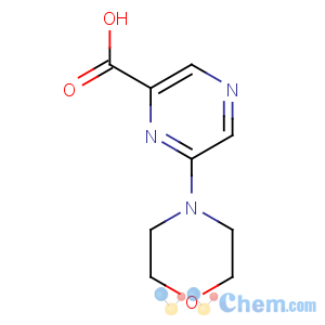 CAS No:40262-73-5 6-morpholin-4-ylpyrazine-2-carboxylic acid