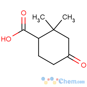 CAS No:4029-26-9 Cyclohexanecarboxylicacid, 2,2-dimethyl-4-oxo-