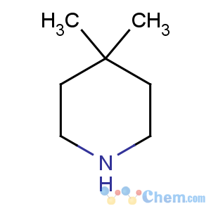 CAS No:4045-30-1 4,4-dimethylpiperidine