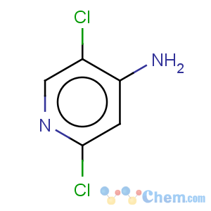 CAS No:405230-82-2 4-Pyridinamine,2,5-dichloro-