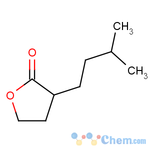 CAS No:40541-41-1 2(3H)-Furanone,dihydro-3-(3-methylbutyl)-