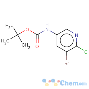 CAS No:405939-59-5 (5-bromo-6-chloro-pyridin-3-yl)-carbamic acid tert-butyl ester