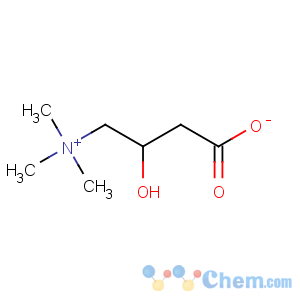 CAS No:406-76-8 DL-Carnitine