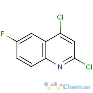 CAS No:406204-74-8 2,4-dichloro-6-fluoroquinoline