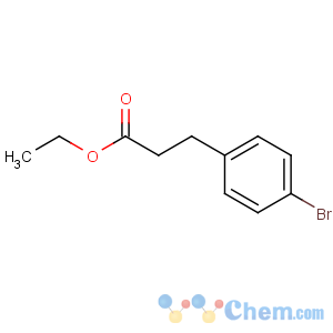 CAS No:40640-98-0 ethyl 3-(4-bromophenyl)propanoate