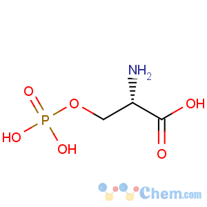 CAS No:407-41-0 O-Phospho-L-serine