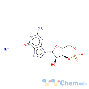 CAS No:40732-48-7 Guanosine 3',5'-cyclic monophosphate sodium salt
