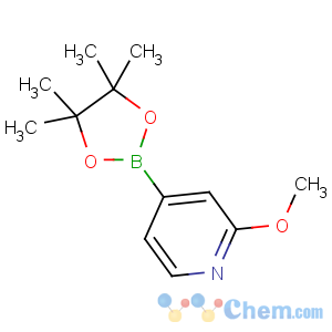 CAS No:408502-23-8 2-methoxy-4-(4,4,5,5-tetramethyl-1,3,2-dioxaborolan-2-yl)pyridine