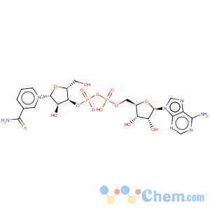 CAS No:4090-29-3 Adenosine5'-(trihydrogen diphosphate), P'®