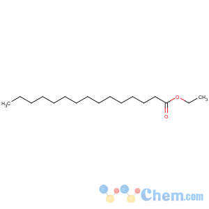 CAS No:41114-00-5 ethyl pentadecanoate