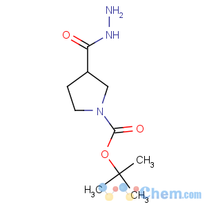 CAS No:411238-88-5 1,3-Pyrrolidinedicarboxylicacid, 1-(1,1-dimethylethyl) ester, 3-hydrazide