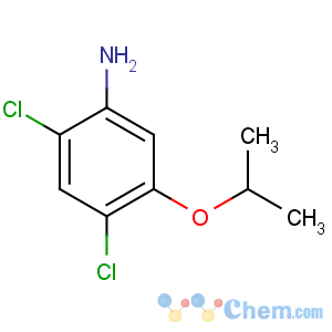 CAS No:41200-96-8 2,4-dichloro-5-propan-2-yloxyaniline