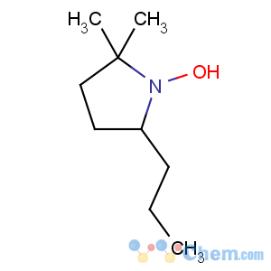 CAS No:412016-74-1 1-hydroxy-2,2-dimethyl-5-propylpyrrolidine