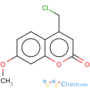 CAS No:41295-55-0 2H-1-Benzopyran-2-one,4-(chloromethyl)-7-methoxy-