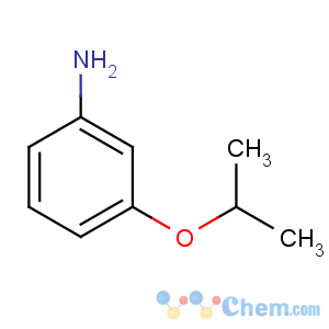 CAS No:41406-00-2 3-propan-2-yloxyaniline