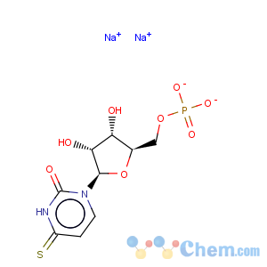 CAS No:4145-46-4 5'-Uridylic acid,4-thio-
