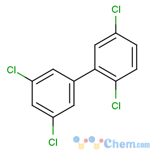 CAS No:41464-42-0 1,3-dichloro-5-(2,5-dichlorophenyl)benzene