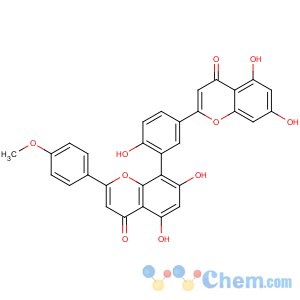 CAS No:41583-83-9 8-[5-(5,7-dihydroxy-4-oxo-chromen-2-yl)-2-hydroxy-phenyl]-5,7-dihydroxy-2-(4-methoxyphenyl)chromen-4-one