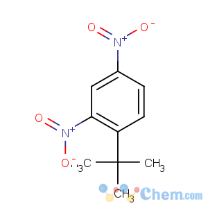 CAS No:4160-54-7 2,4-dinitro-1-tert-butyl-benzene