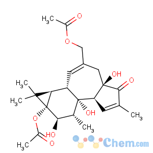 CAS No:41621-85-6 5H-Cyclopropa[3,4]benz[1,2-e]azulen-5-one,9a-(acetyloxy)-3-[(acetyloxy)methyl]-1,1a,1b,4,4a,7a,7b,8,9,9a-decahydro-4a,7b,9-trihydroxy-1,1,6,8-tetramethyl-,(1aR,1bS,4aR,7aS,7bS,8R,9R,9aS)-