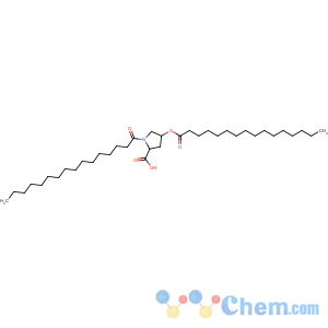 CAS No:41672-81-5 (2S,4R)-1-hexadecanoyl-4-hexadecanoyloxypyrrolidine-2-carboxylic acid