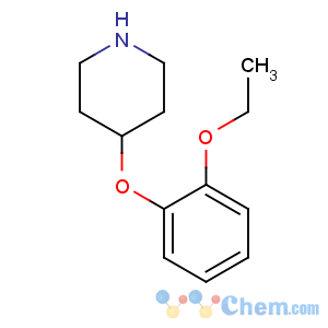 CAS No:420137-19-5 4-(2-ethoxyphenoxy)piperidine
