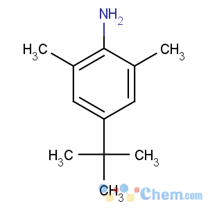 CAS No:42014-60-8 4-tert-butyl-2,6-dimethylaniline