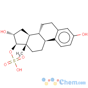 CAS No:42028-21-7 estriol 17-sulfate